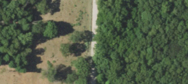 Fenced Hunting and Cattle Farm