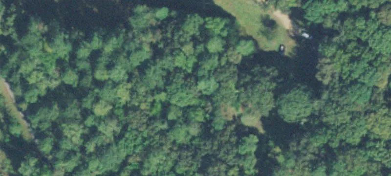 Unrestricted Wooded Acreage with Road Frontage