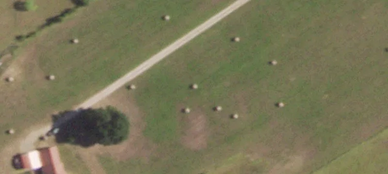 Custom Ranch with Pond Land