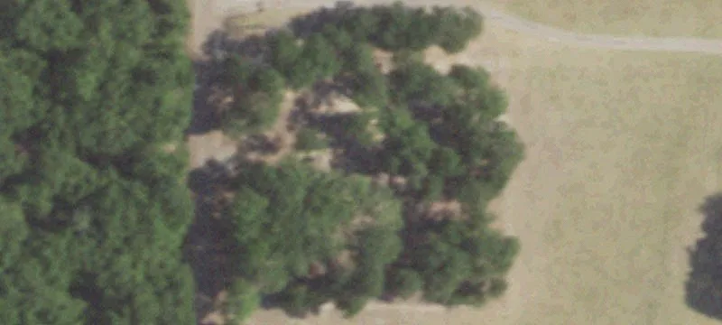 Wooded Residential Land Tract
