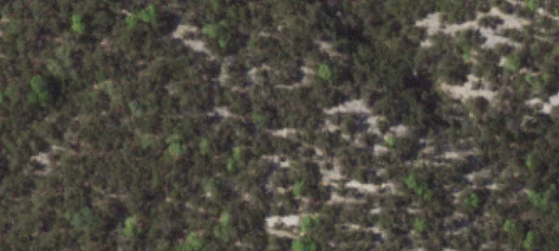 Hill Country Ranch Land with Residence