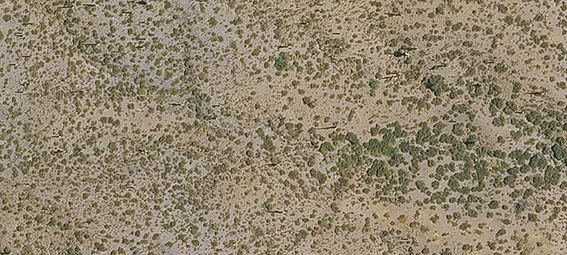 Estate Homesite with Huge Building Envelope