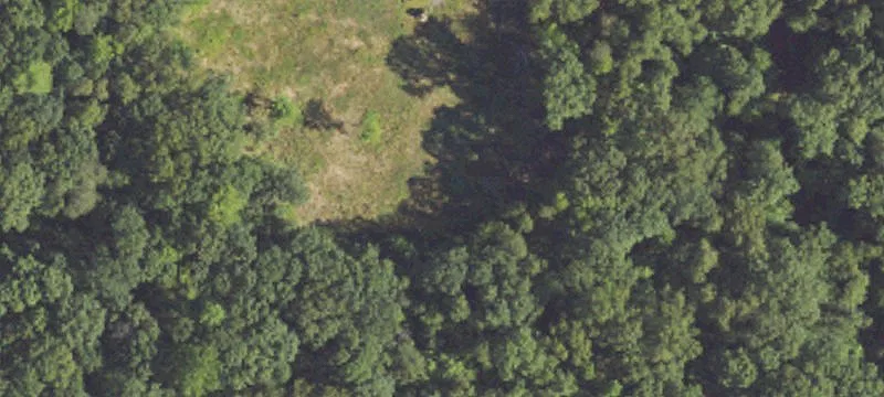 Wooded Recreational Home Site Land
