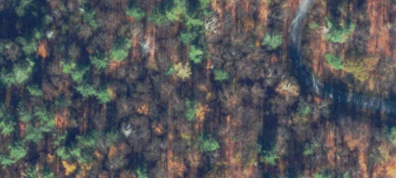 Wooded Residential Home Lot