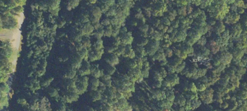 Subdividable Residential Land