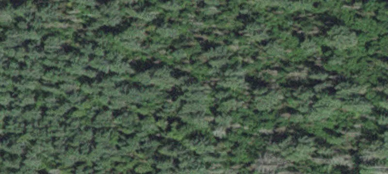 Lakefront Land with Gradual Access