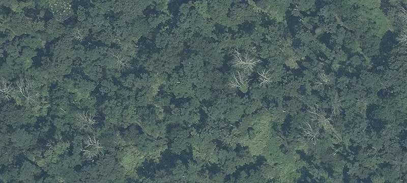 Vacant Land Near Major Highways