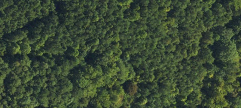 Vacant Acreage Homesite Lot