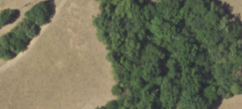 Residential Farm Acreage