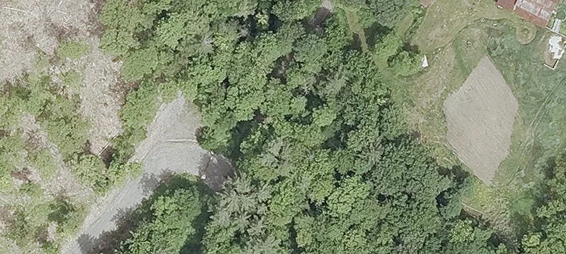 Hunting and Recreation Land Parcel