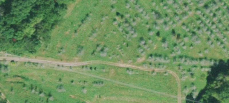 Wooded Building Lot on Signal Mountain