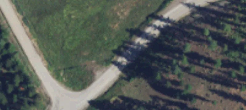 Treed Recreation and Homesite Land