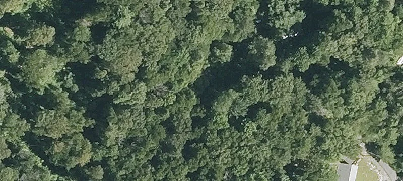 Partially Cleared Waterfront Build Lot