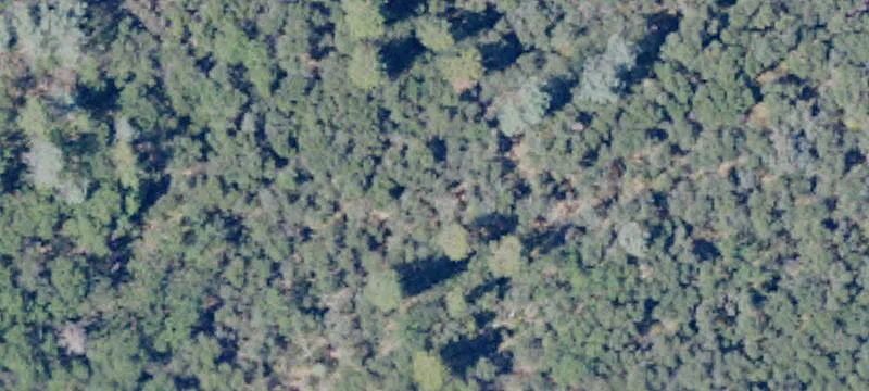 Agricultural Land Parcel