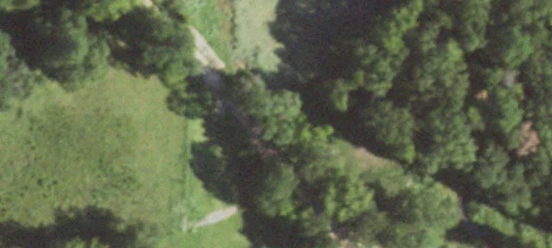 Recreational Hunting Tract with Camp