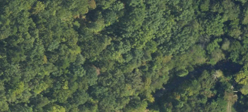 Mountain View Buildable Lot