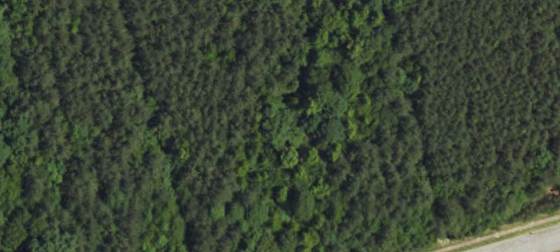 Residential Land with Creek