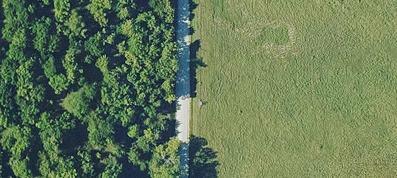 Rolling Farmland Tract with Pond