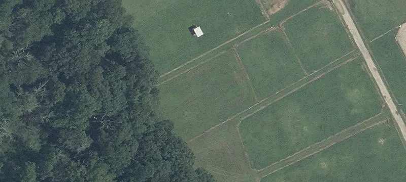 Working Horse Farm with Sand Arena