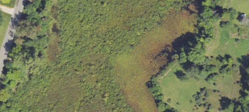 Waterfront Access Recreation Land