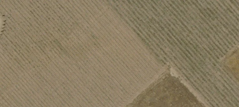 Vineyard Estate Buildable Lot