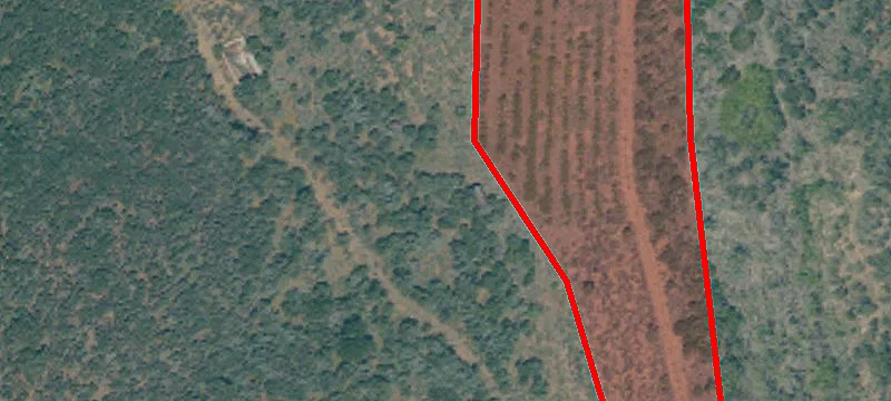 Flat Recreational Land Parcel