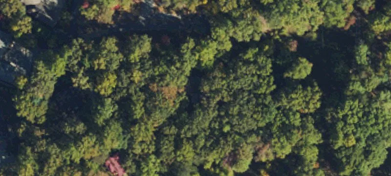 Wooded Residential Lot