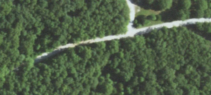 Wooded Recreational Land Tract