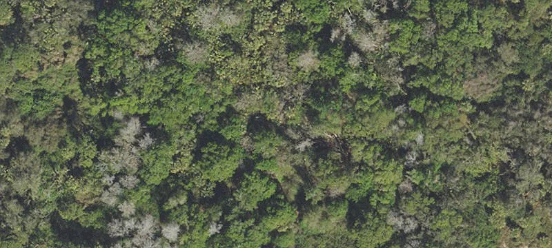 Acreage Lot With Major Road Frontage