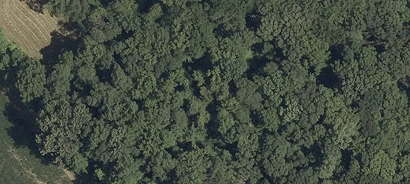 2-Acre Residential Land Lot