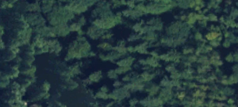 Acreage Home Site with Privacy