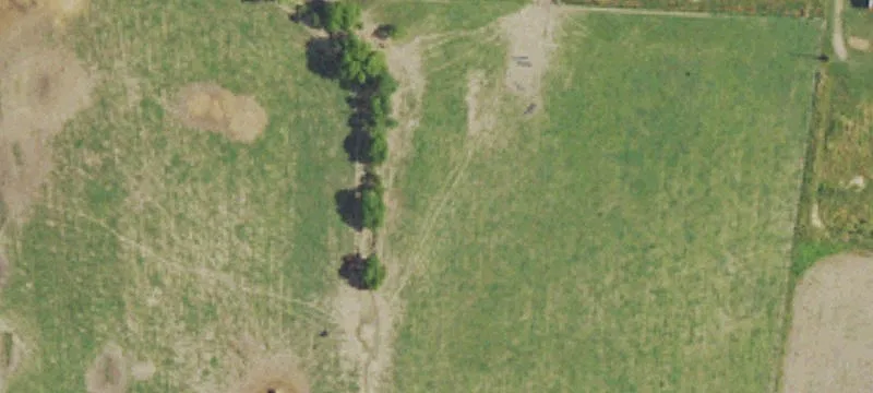 Acreage Homesite with Level Terrain