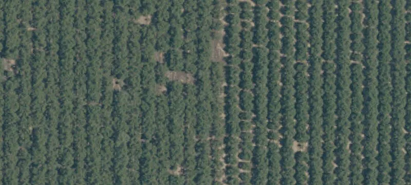 Almond Ranch with Highway Frontage