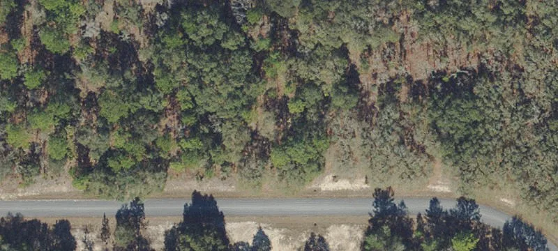 Buildable Residential Homesite