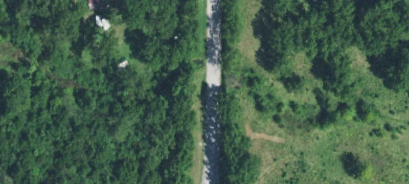 Wooded Hunting Recreation Land