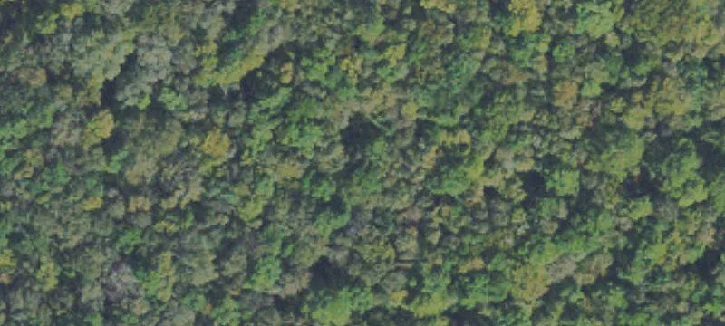 Subdividable Development Land Tract