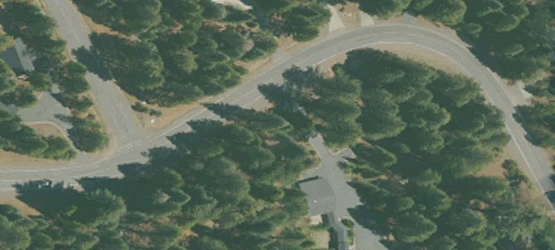 Treed Residential Home Lot