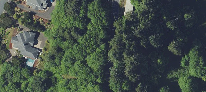 Secluded Waterfront Homesite with Trails