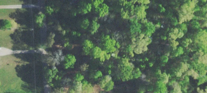 Wooded Double Lot Land Parcel