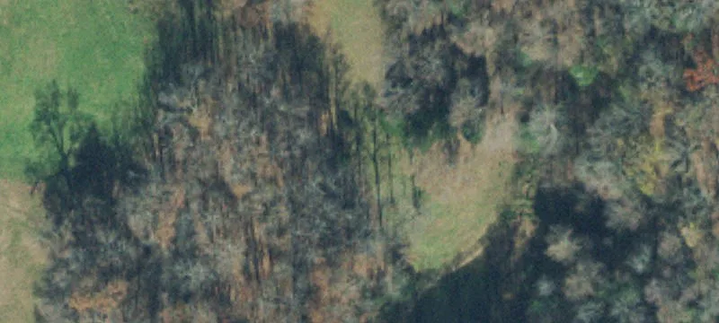 Recreational Hunting Land with Creek