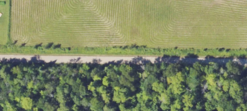 Recreational Land with Tiny Home