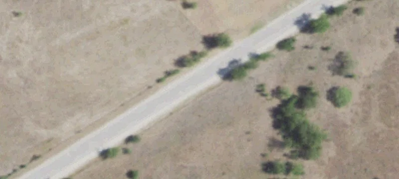 Working Cattle Ranch with Rail Access
