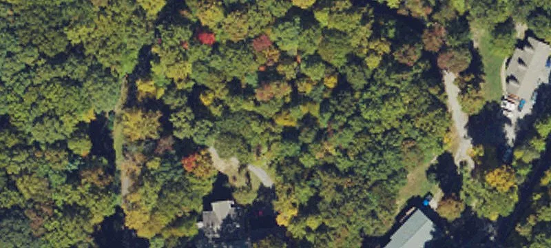 Wooded Hunting Land Lot