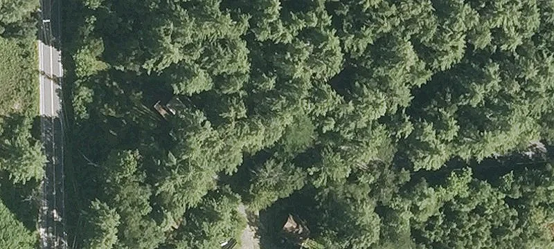 Wooded Home Site Adjacent Forest