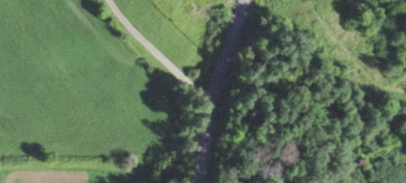 40-Acre Hunting Land Tract