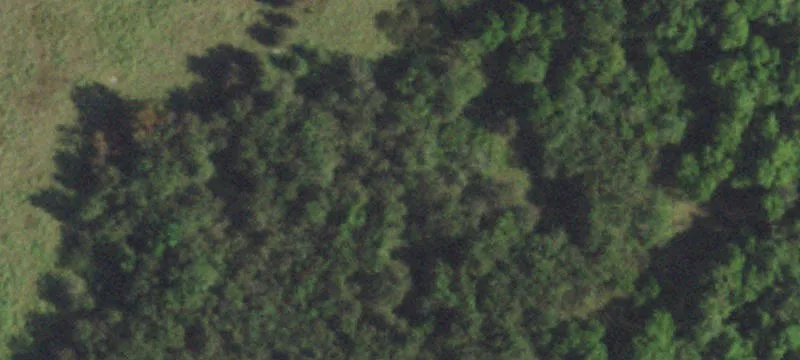 Fenced Agricultural Land with Home