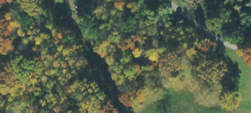 Unrestricted Wooded Home Site