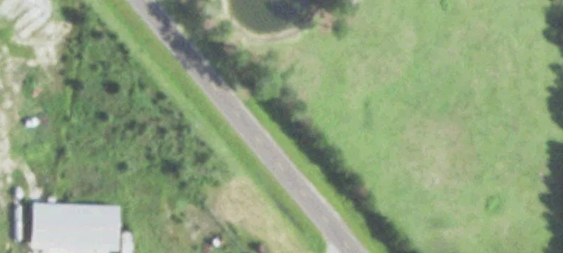 Forestry Land with 600-Foot Frontage