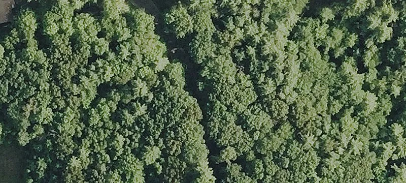 Approved Building Lot Parcel