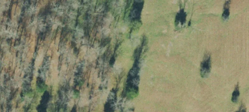Ranch Property With Creek Access